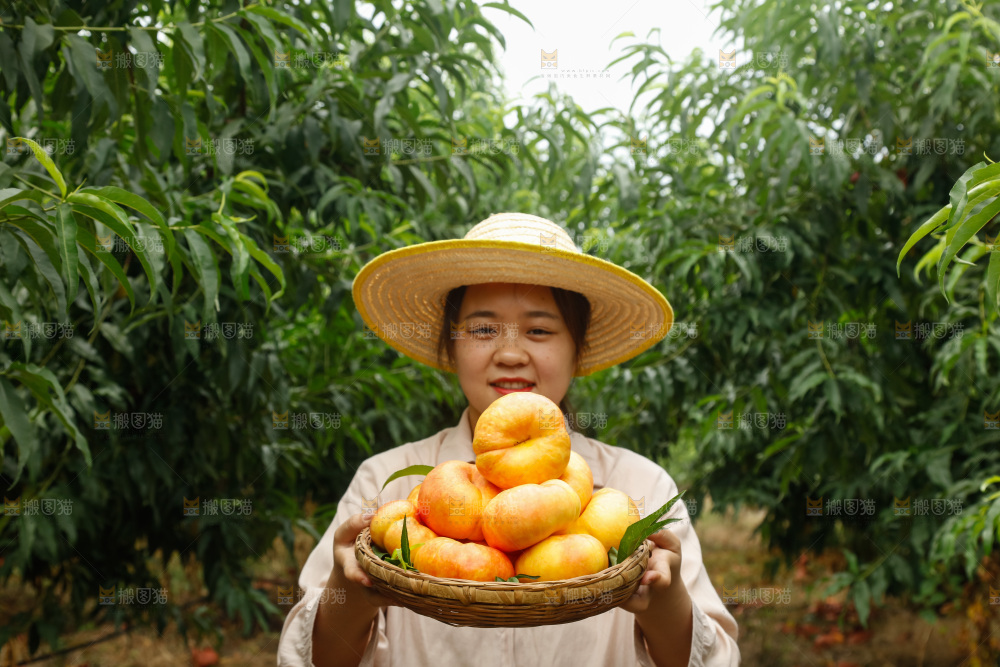 手里拿着黄油蟠桃