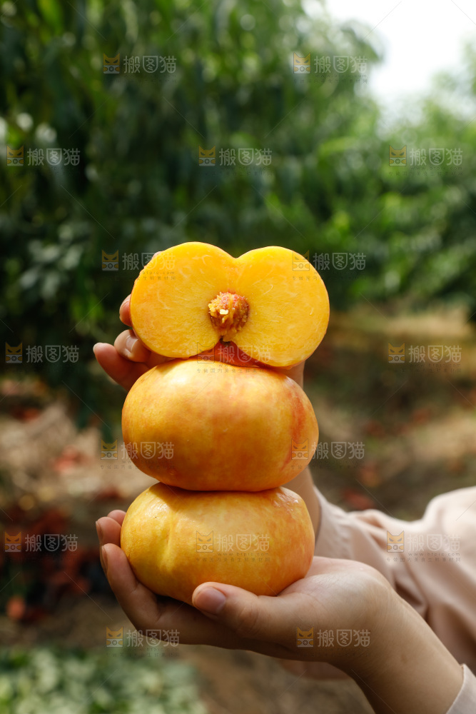 手里拿着黄油蟠桃