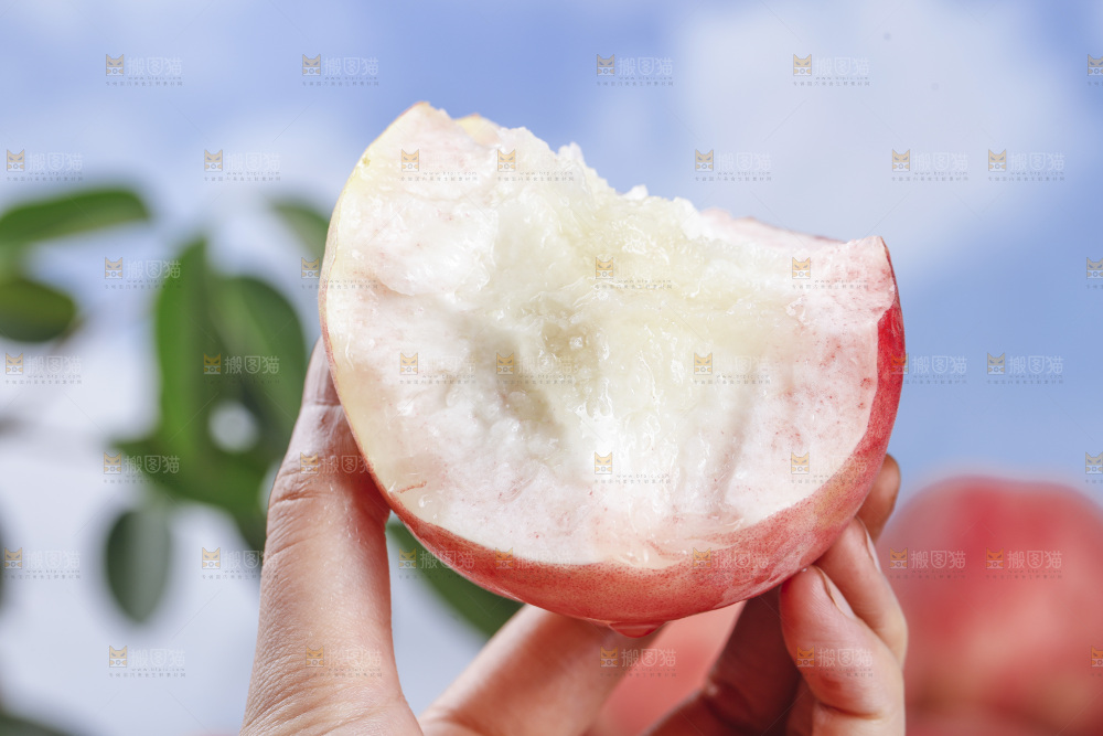 浅底上的苹果桃
