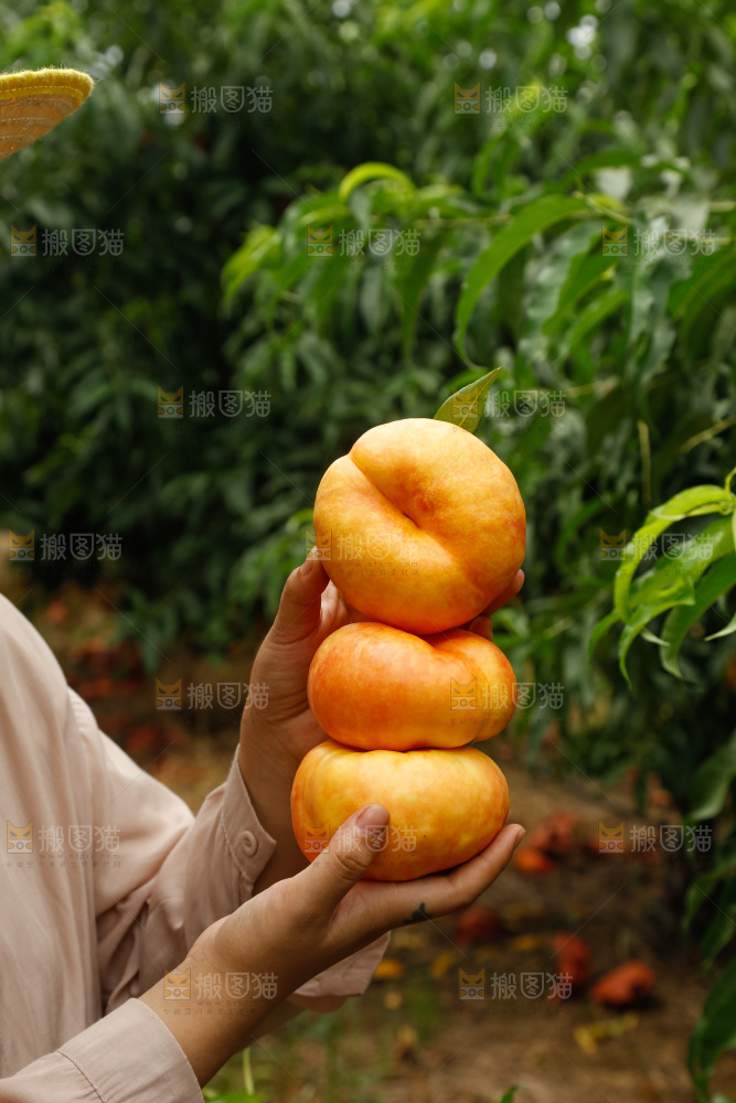 手里拿着黄油蟠桃