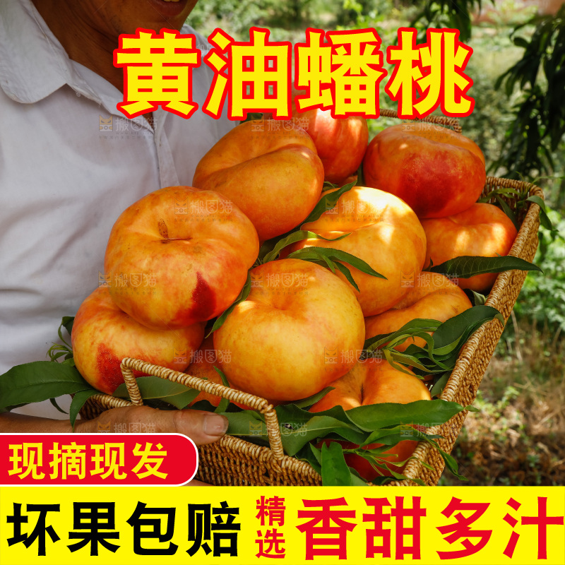 手里拿着黄油蟠桃