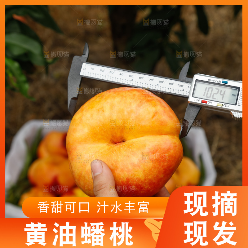 手里拿着黄油蟠桃