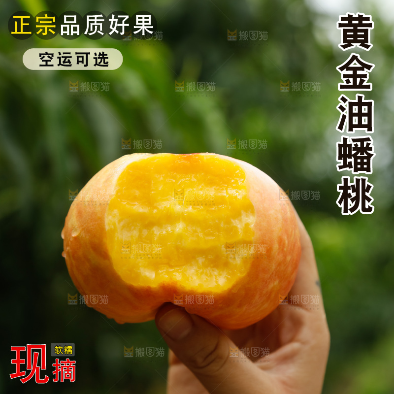手里拿着黄油蟠桃