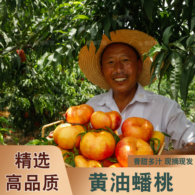 手里拿着黄油蟠桃