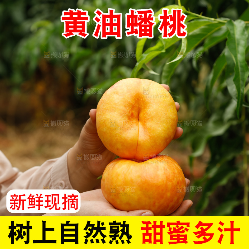 手里拿着黄油蟠桃