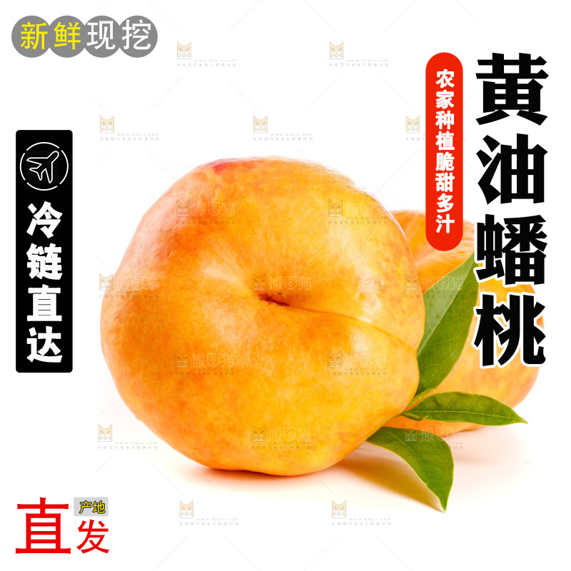 白底摆放着黄油蟠桃