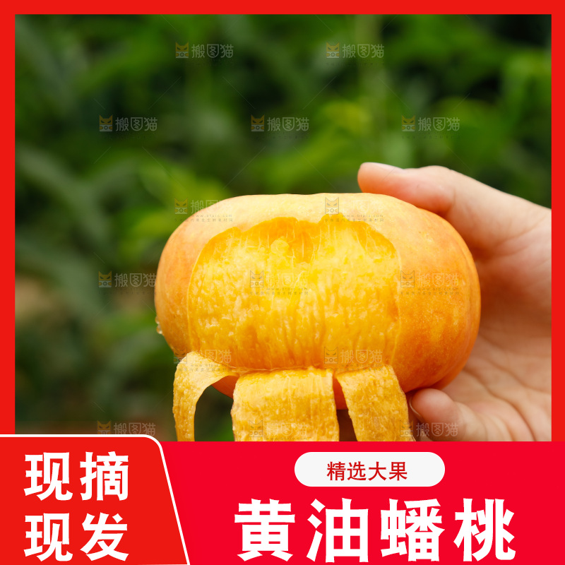 手里拿着黄油蟠桃