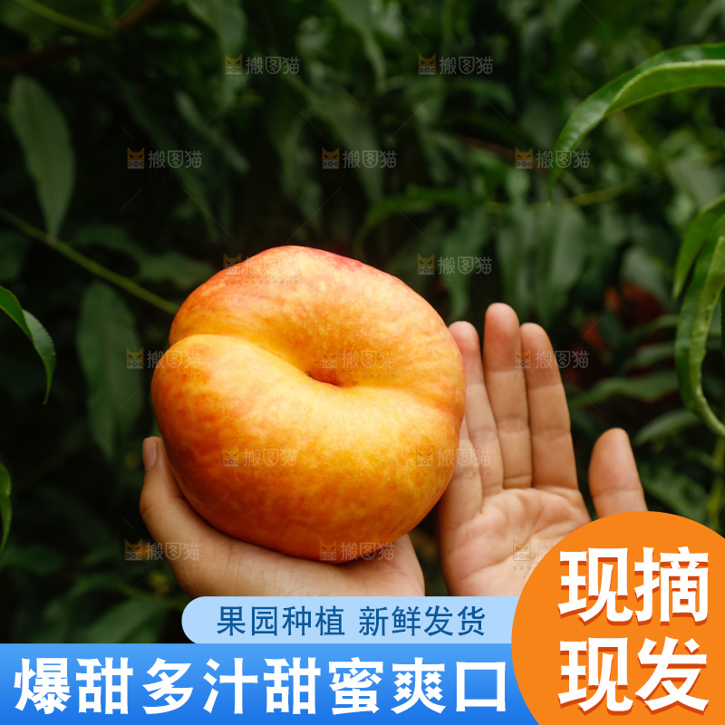 手里拿着黄油蟠桃