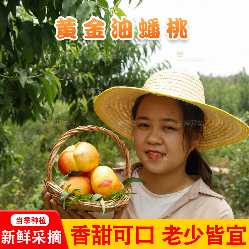 手里拿着黄油蟠桃