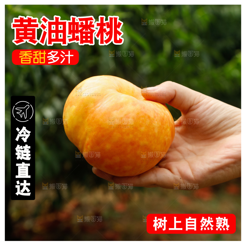 手里拿着黄油蟠桃