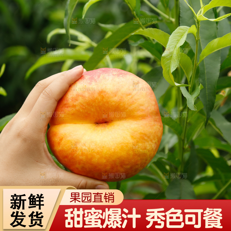 手里拿着黄油蟠桃