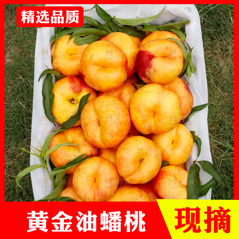 深底上的黄油蟠桃