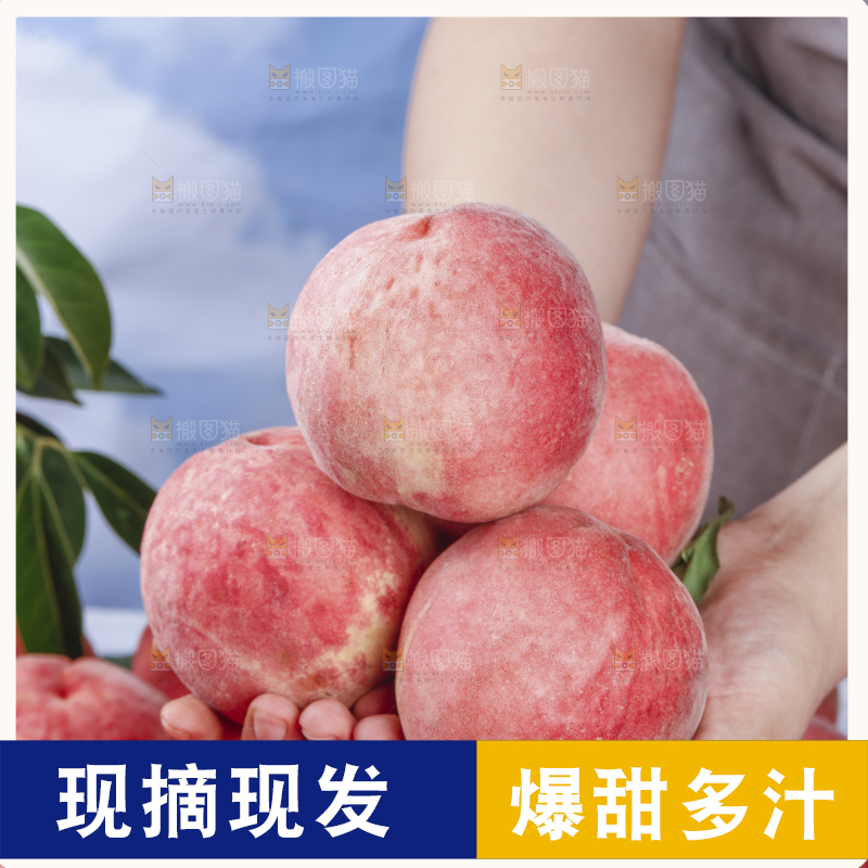 浅底上的苹果桃