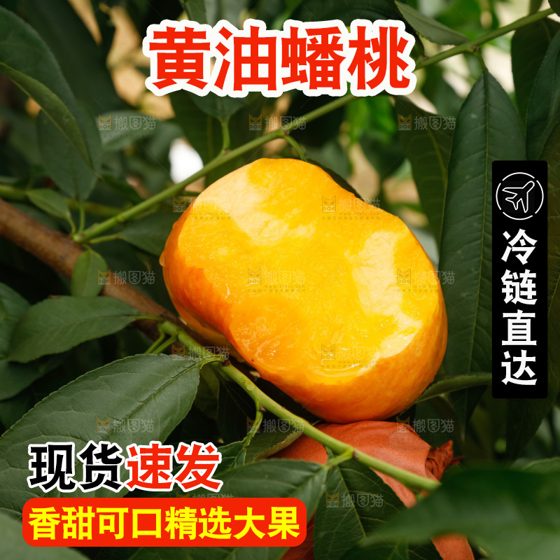 手里拿着黄油蟠桃