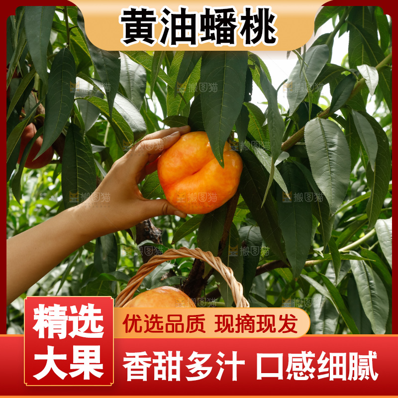 手里拿着黄油蟠桃