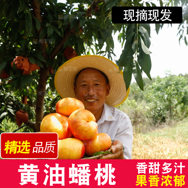 手里拿着黄油蟠桃