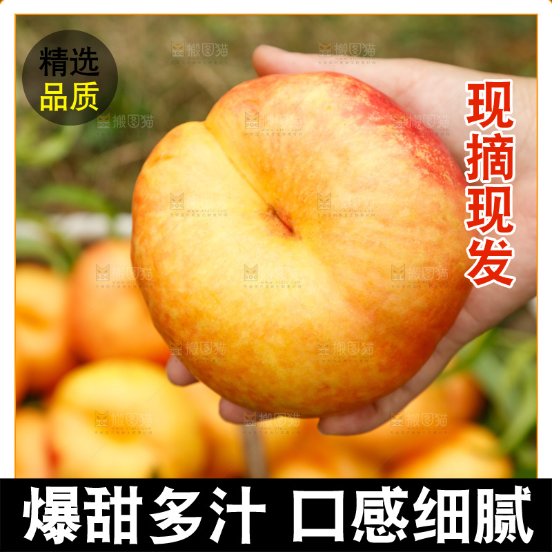 深底上的黄油蟠桃