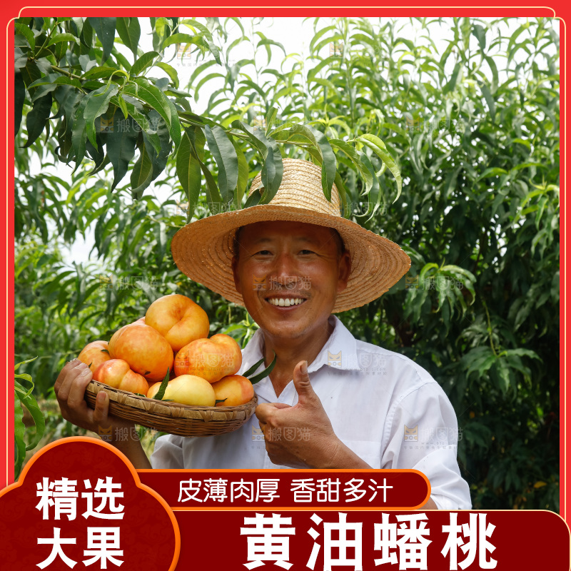 手里拿着黄油蟠桃