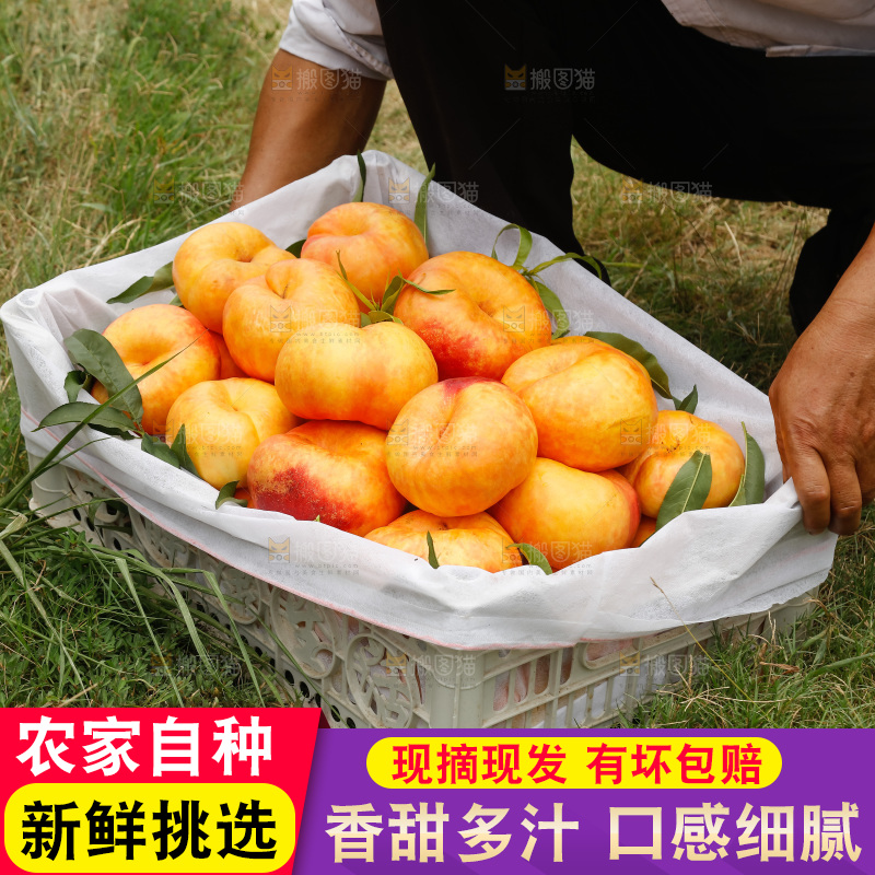 手里拿着黄油蟠桃