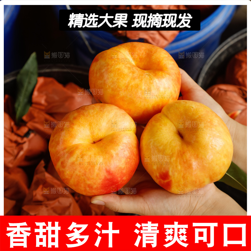 手里拿着黄油蟠桃