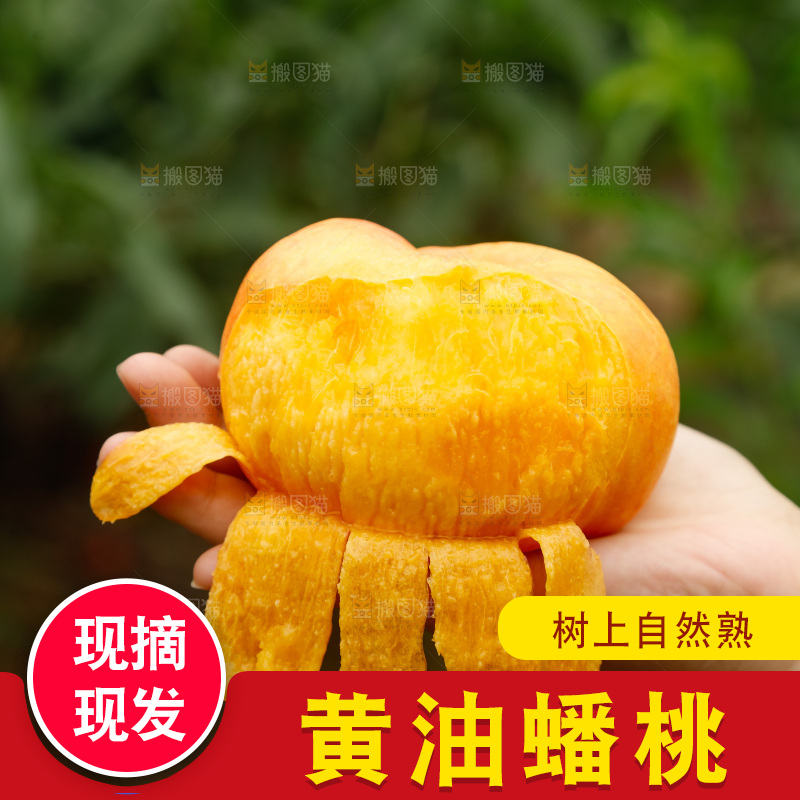 手里拿着黄油蟠桃