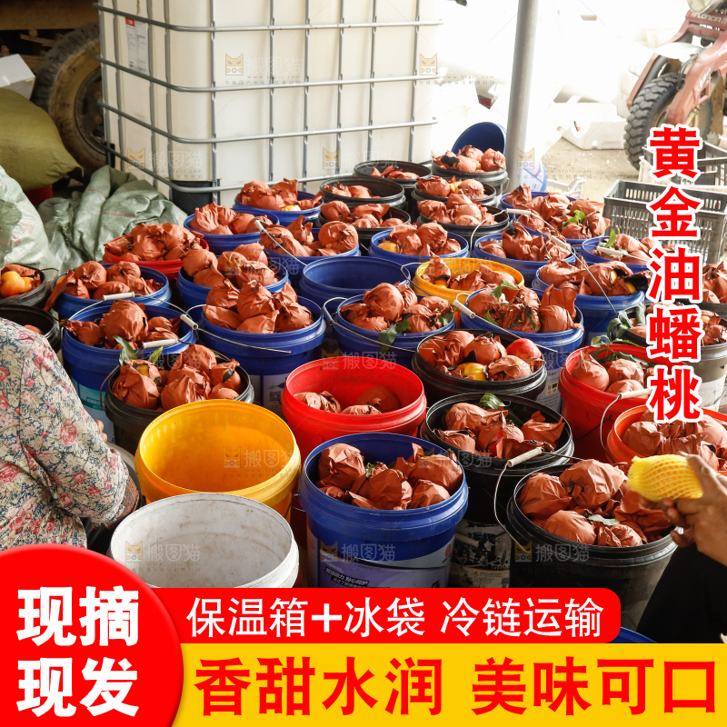 堆放着的黄蟠桃
