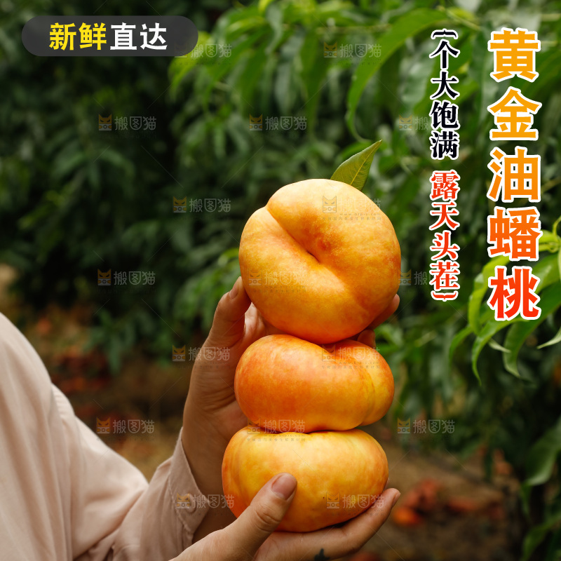手里拿着黄油蟠桃