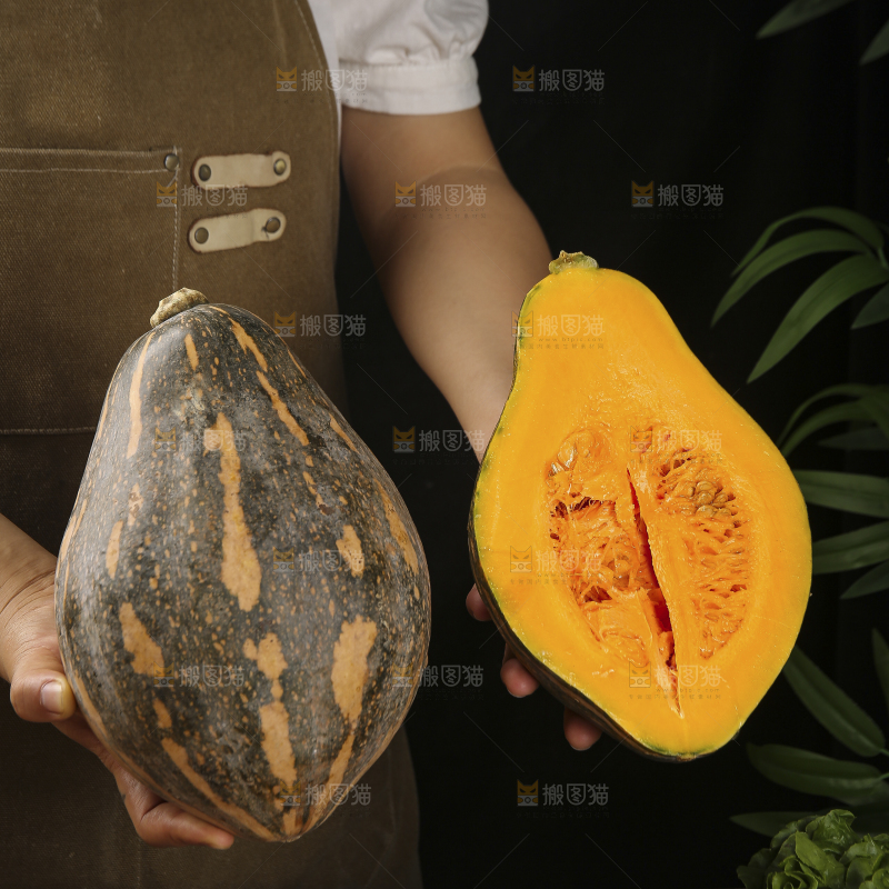 手里拿着香芋南瓜