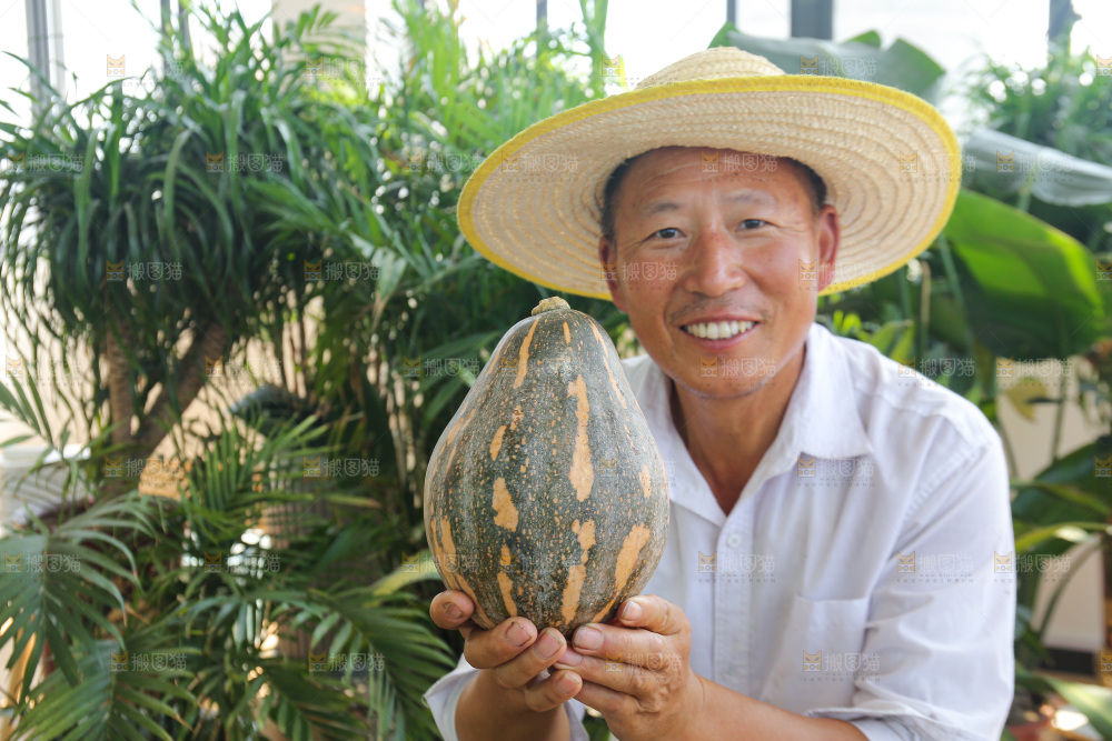手里拿着香芋南瓜