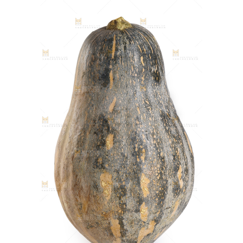 白底上的香芋南瓜