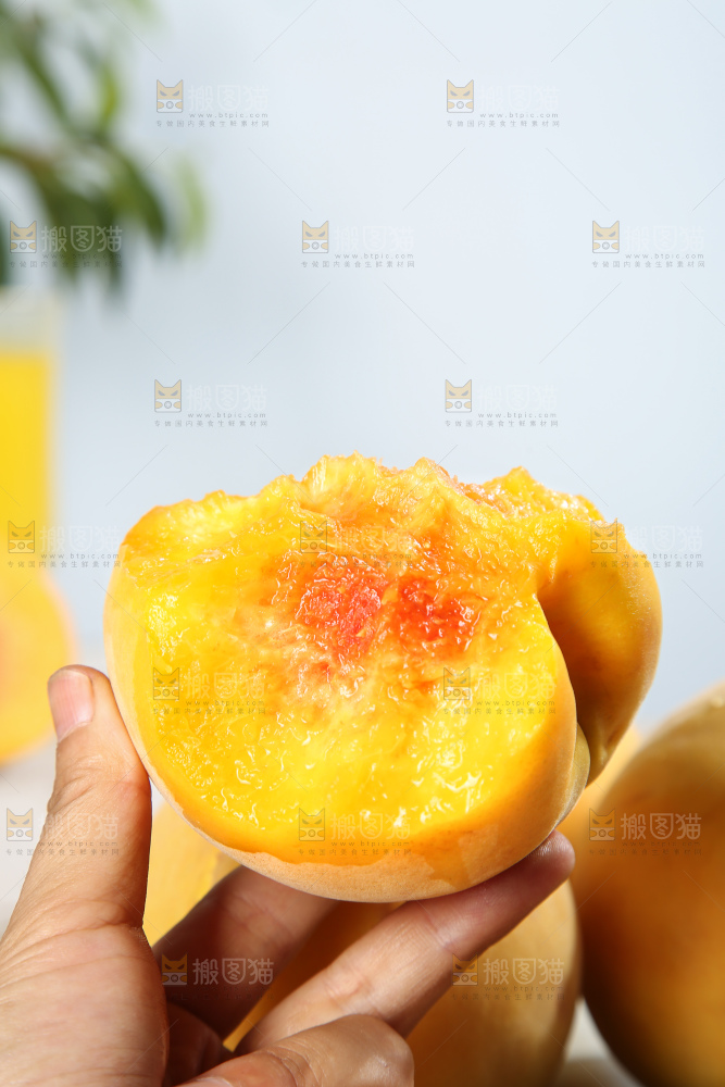 浅底上的奉贤黄桃