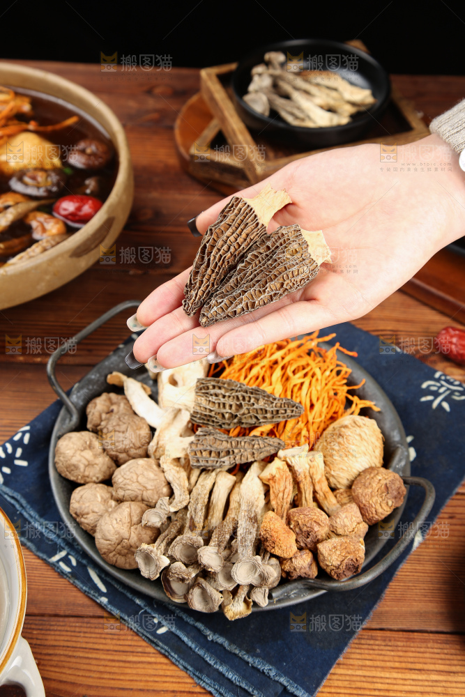 木底上的七彩菌菇