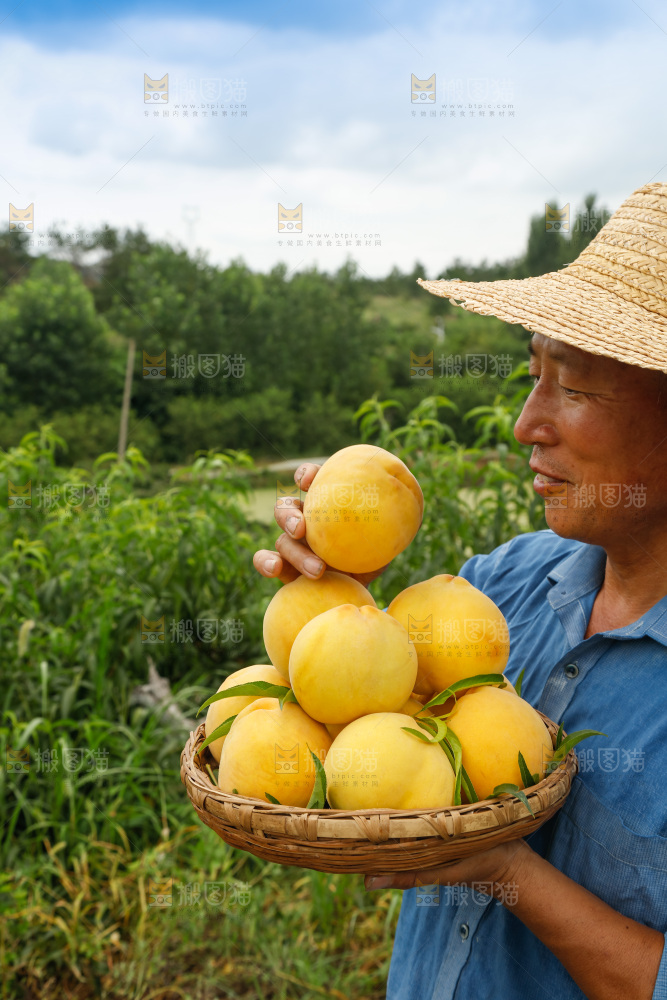 手里拿着奉贤锦绣黄桃