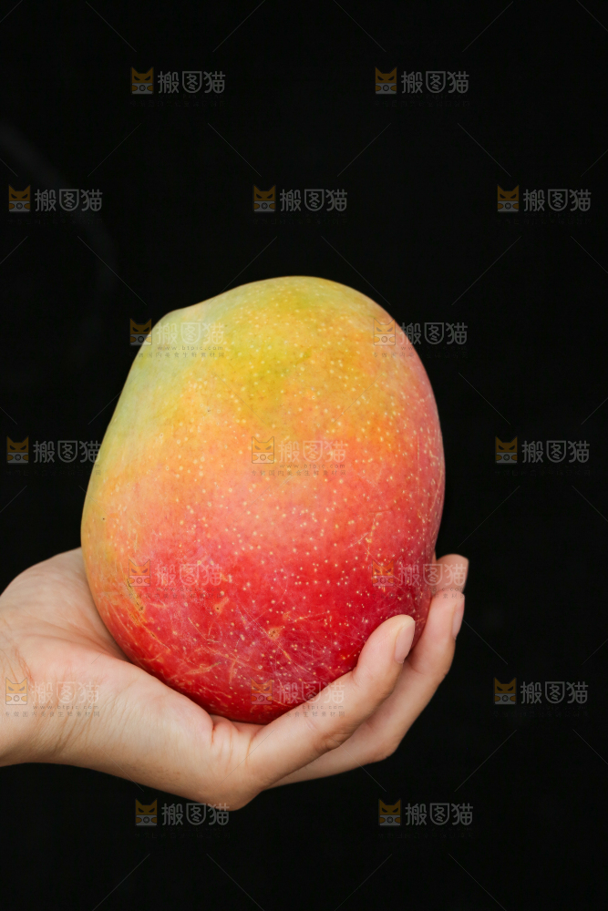手里拿着彩虹芒