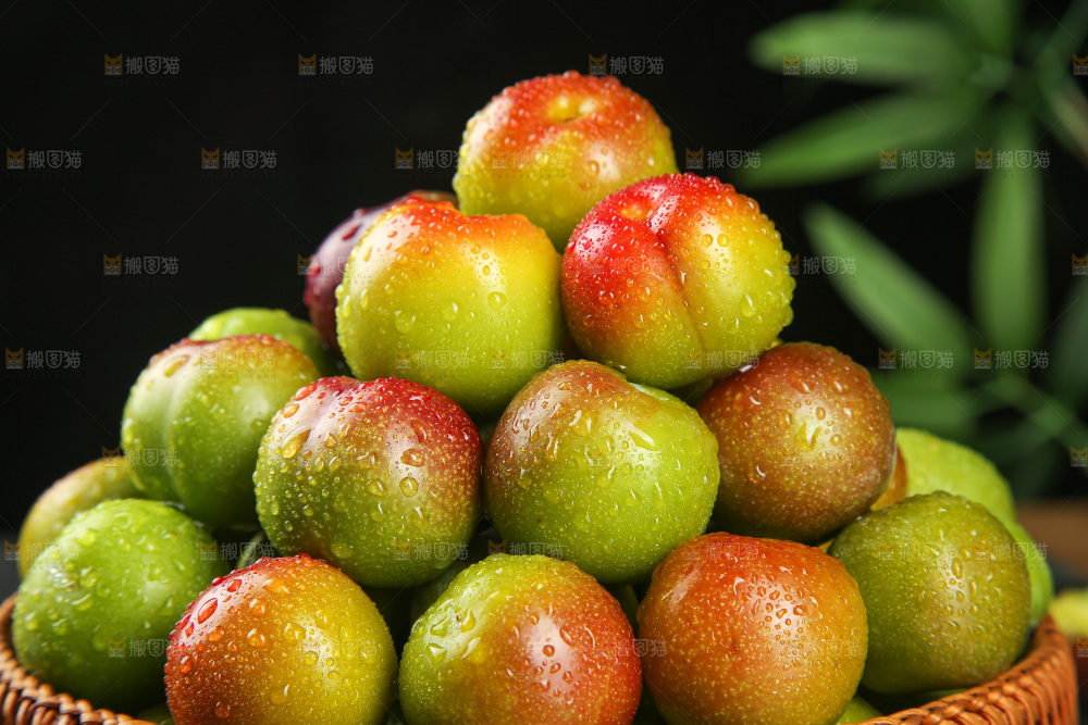 深底上的半边红脱骨李