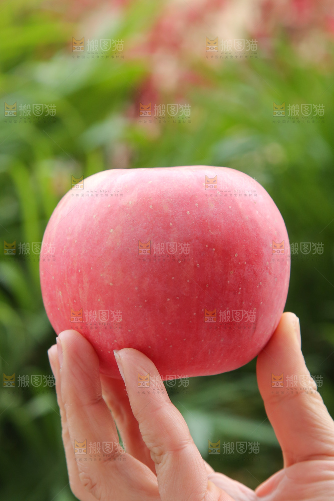 手里拿着的苹果