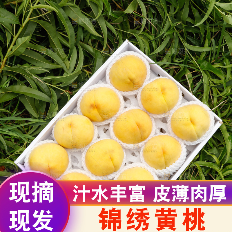 手里拿着奉贤锦绣黄桃