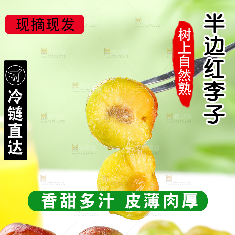 浅底上的茵红李