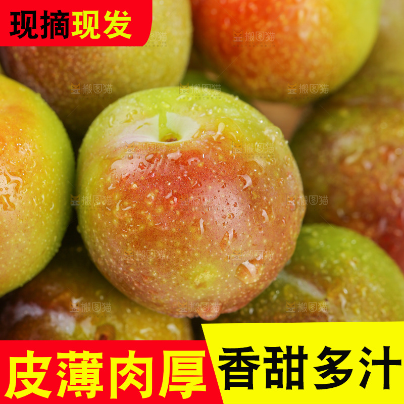 浅底上的茵红李