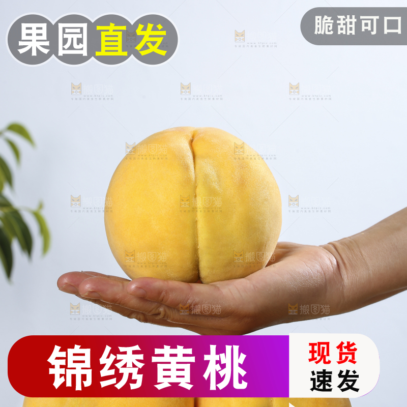 浅底上的奉贤黄桃