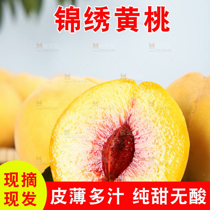浅底上的奉贤黄桃