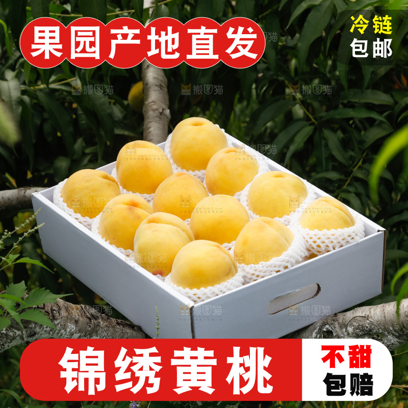 手里拿着奉贤锦绣黄桃