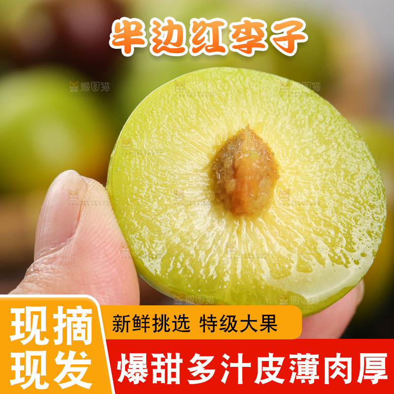 深底上的半边红脱骨李