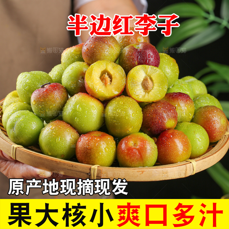 深底上的半边红脱骨李