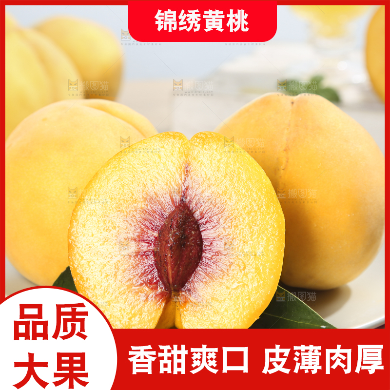 浅底上的奉贤黄桃