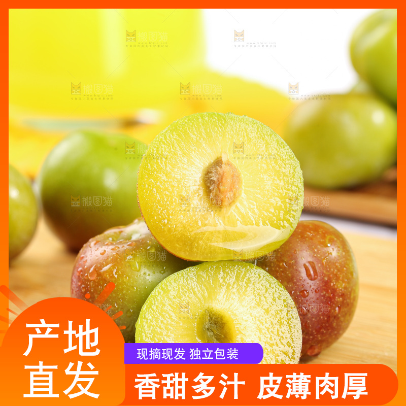浅底上的茵红李