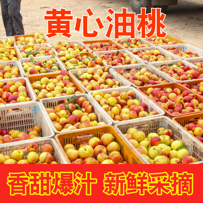 堆放着的黄心油桃