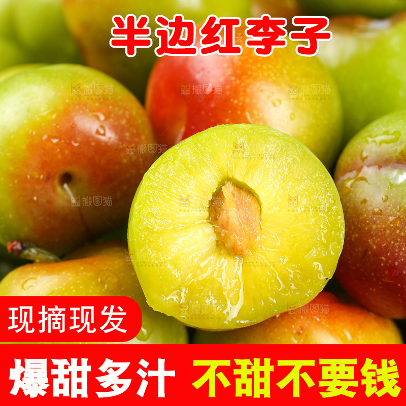 深底上的半边红脱骨李