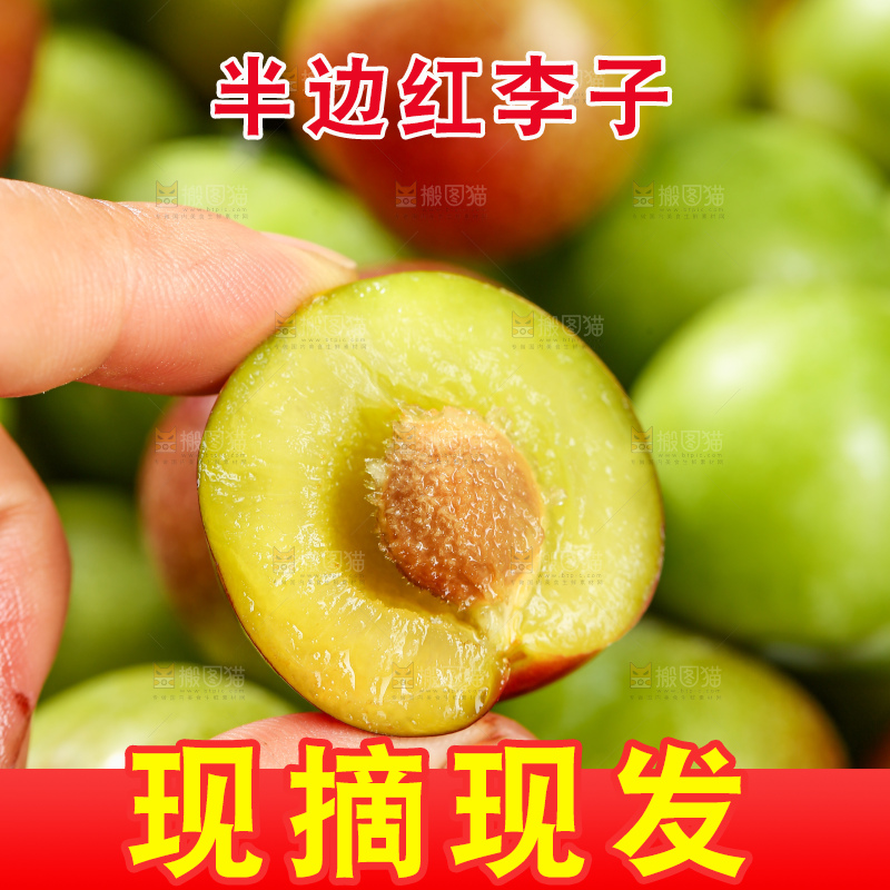 木底上的茵红脱骨李