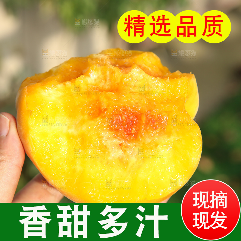 手里拿着锦绣黄桃